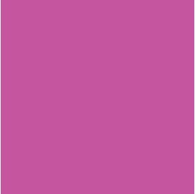 fuchsia Fuchsia