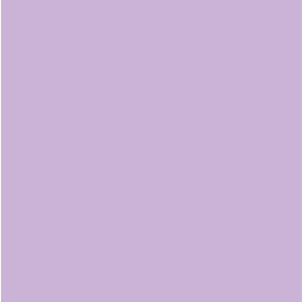 lilac Lilac