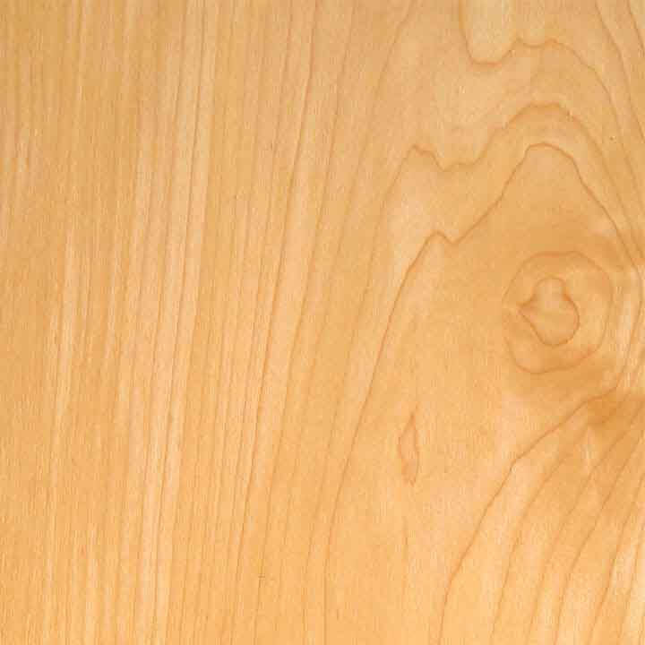 maple Maple