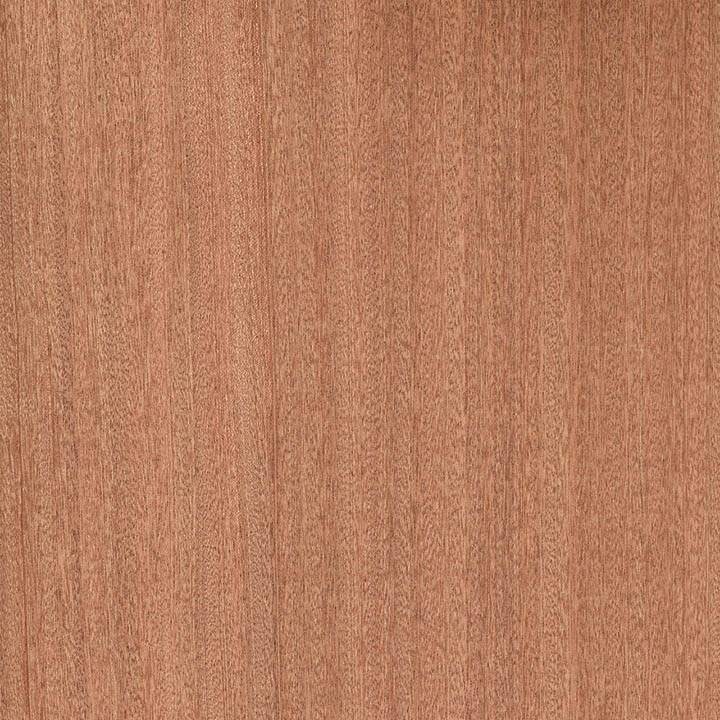 sapele Sapele