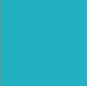 turquoise Turquoise